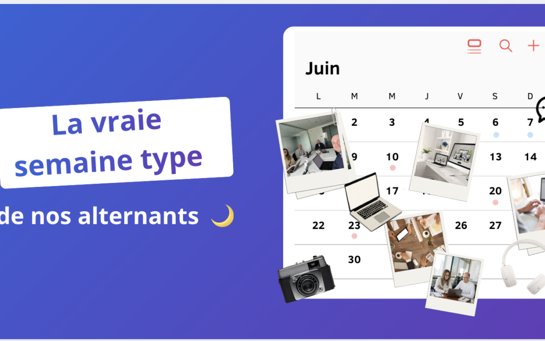 La vraie semaine type de nos alternants 🌙